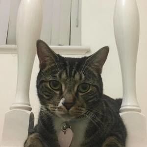 Meet your Posher, Melanie